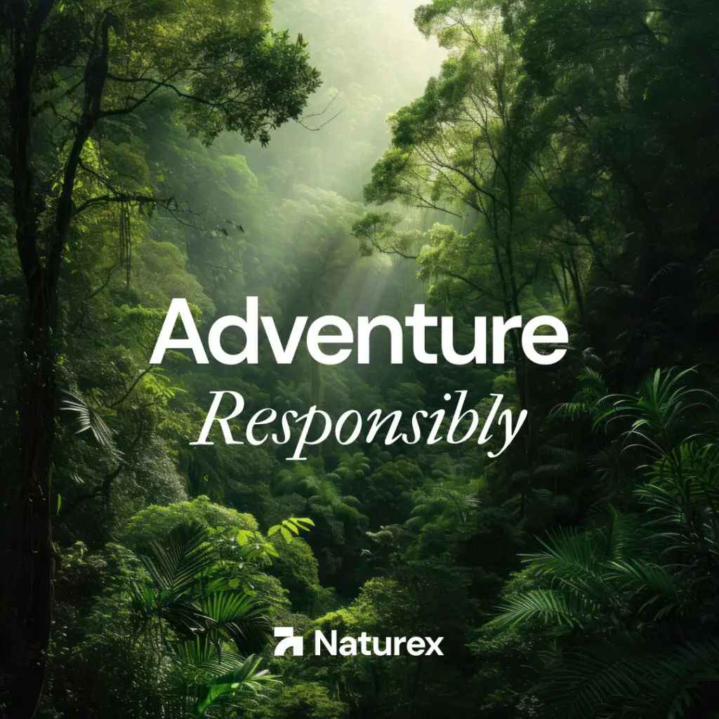 Graphic design subscription